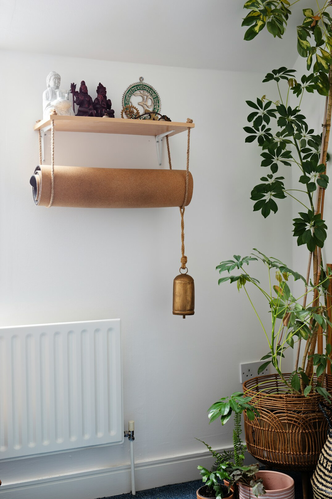 Bright modern wellness studio interior with plants